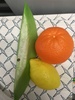 Orange, Lemon, and Aloe