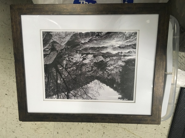 frame with nature photograph