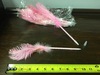 Pink Feather Pens