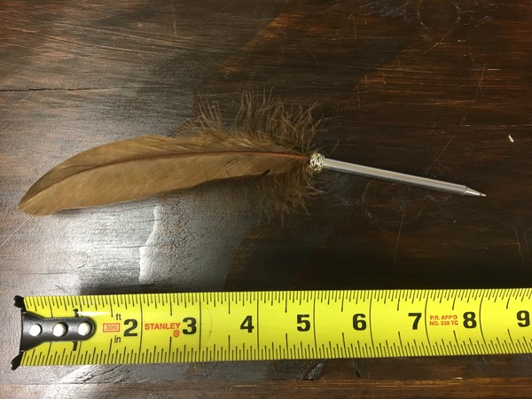 Brown Feather Pen