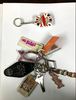 Various Key Chains